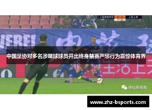 中国足协对多名涉赌球球员开出终身禁赛严惩行为震惊体育界 中国足协对多名涉赌球球员开出终身禁赛严惩行为震惊体育界